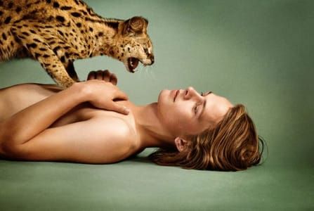 Artwork Title: Untitled
