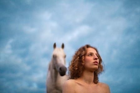 Artwork Title: Petra (White Stallion)