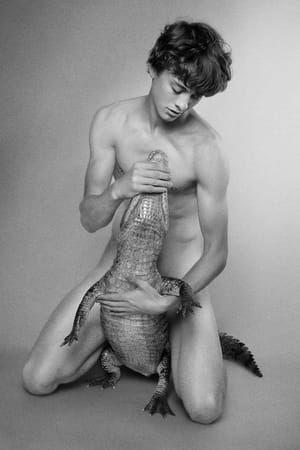 Artwork Title: Wes (Gator)