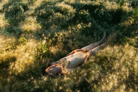 Artwork Title: Shane (Foxtail Barley)