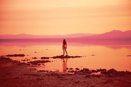 Artwork Title: Salton Sea
