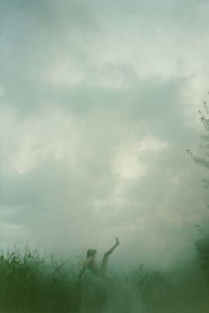 Artwork Title: Falling (Cornfield)