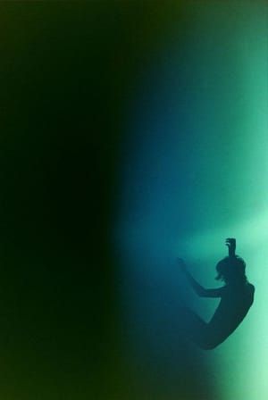 Artwork Title: Fading Falling