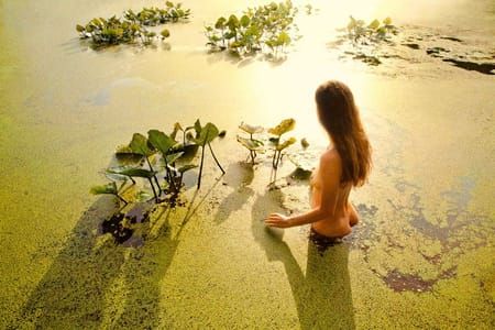 Artwork Title: Glowing Pond (Green)