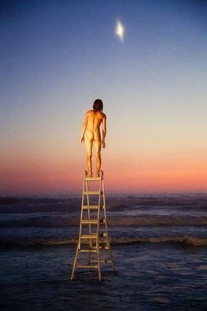 Artwork Title: Dakota (Moon Ladder Sunset)