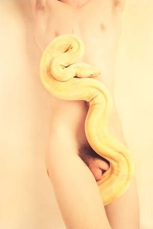 Artwork Title: Albino (Milky)