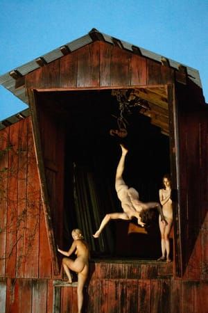 Artwork Title: Barn Flip (Red)