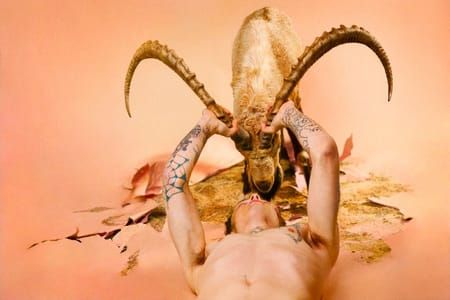Artwork Title: Ibex (Dusty Coral)