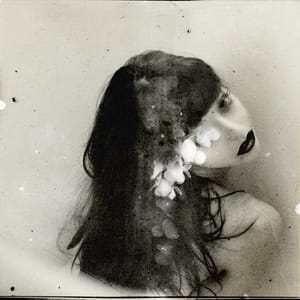 Artwork Title: Untitled