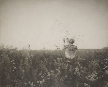 Artwork Title: Bee Season