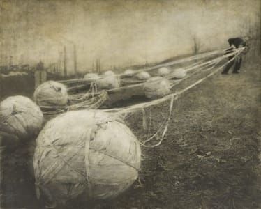 Artwork Title: Migration
