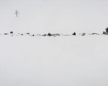 Artwork Title: Collection