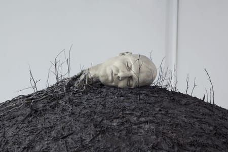 Artwork Title: Immolation (Detail)