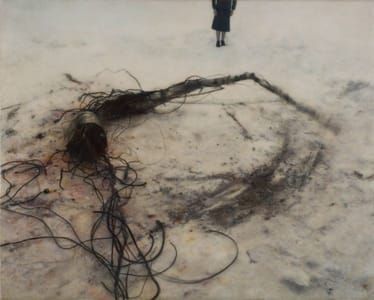 Artwork Title: Black Snow
