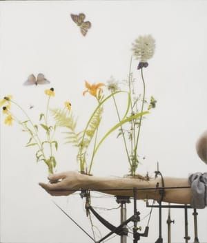 Artwork Title: Summer Arm