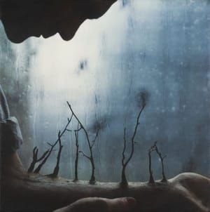 Artwork Title: Winter Arm