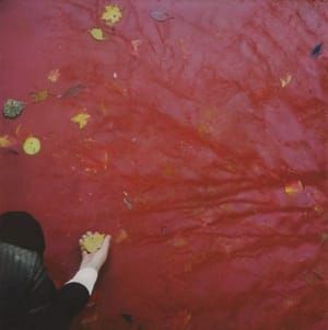 Artwork Title: Red Tide
