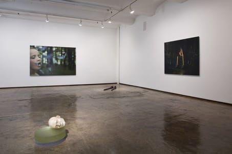Artwork Title: Installation (3)