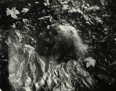 Artwork Title: From “Body Farm”