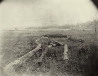 Artwork Title: Southern Landscapes