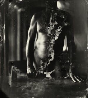 Artwork Title: Proud Flesh Series