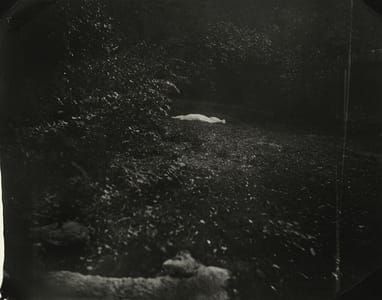 Artwork Title: From “Body Farm”