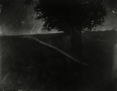 Artwork Title: Untitled (Antietam #11)