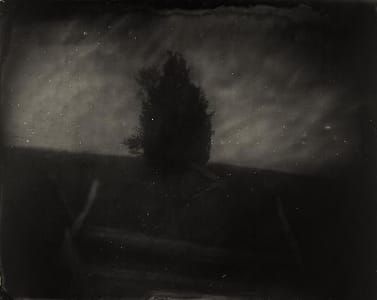 Artwork Title: Untitled (Manassas #28)