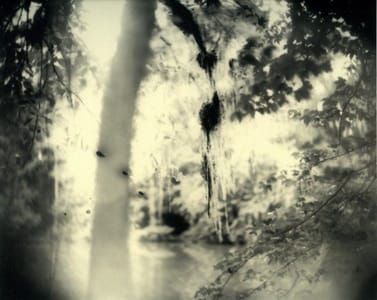 Artwork Title: Untitled