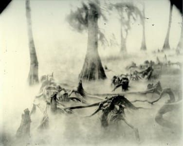 Artwork Title: Untitled