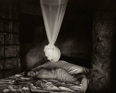Artwork Title: Untitled