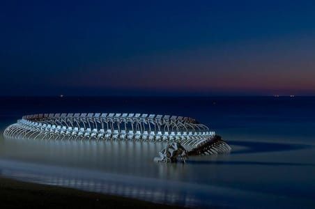 Artwork Title: Serpent D’océan
