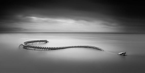 Artwork Title: Serpent D’océan