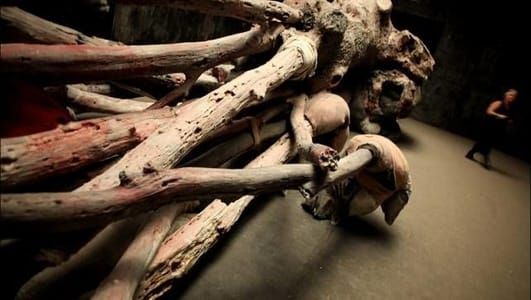 Artwork Title: Cripple Wood