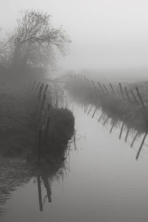Artwork Title: Harvingvliet
