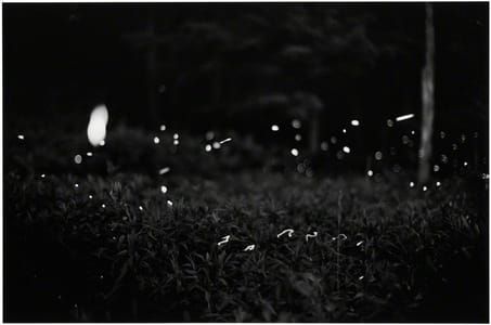 Artwork Title: Untitled (25-35)