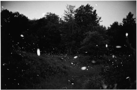 Artwork Title: Untitled (53-35) Negative: 1996