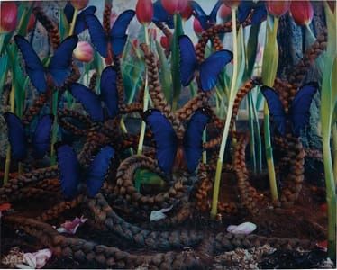 Artwork Title: Untitled (Blue Butterflies)