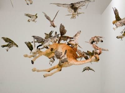 Artwork Title: Untitled
