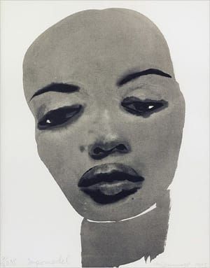 Artwork Title: The Supermodel