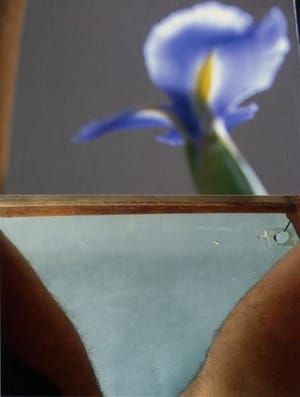 Artwork Title: View From My Desk