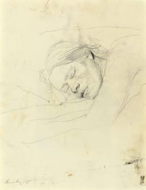 Artwork Title: Sleep Study