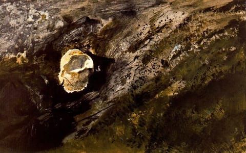 Artwork Title: Inland Shell