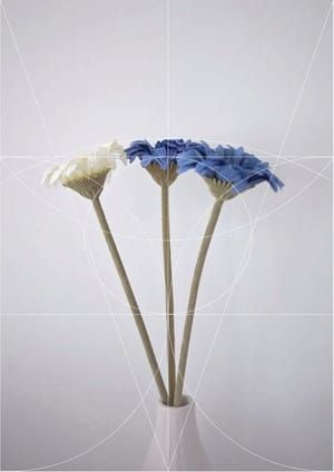 Artwork Title: Imaginary Patterns