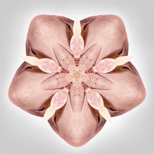 Artwork Title: Bodyscopes