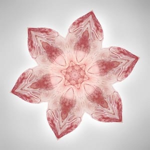 Artwork Title: Bodyscopes