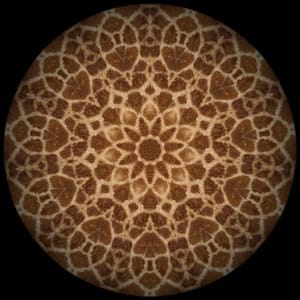 Artwork Title: Animandali #7