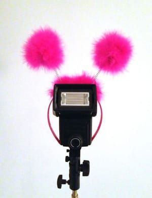 Artwork Title: Pink Flashozoid