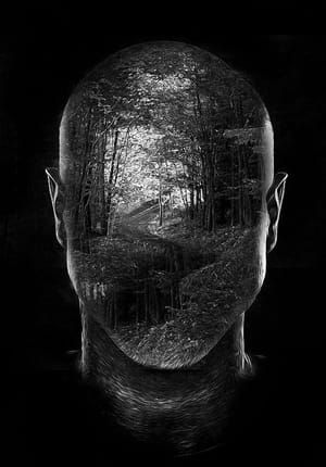Artwork Title: Untitled