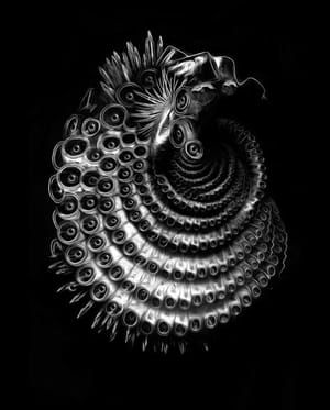 Artwork Title: Untitled